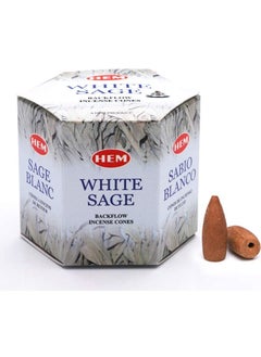 اشتري Natural White Sage Backflow Cones في الامارات