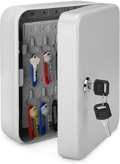 Buy Goolsky Key Cabinet Key Lock Box Wall Mount with 40 Key Holder Organizer Locker Case, Colored Key Tags & Hooks Wall Mounted Lock Box for Keys Storage, Homes, Property, Hotels, Business (Gray) in UAE