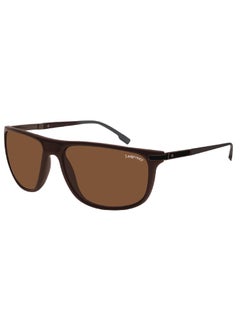 Buy Polarized Sunglasses For Men And Women in Saudi Arabia