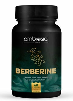 Buy Ambrosial Berberine HCL 500mg per Capsule | High Strength Berberine Supplement for Healthy Heart Functions | Supports Healthy Blood Sugar Levels | 60 Vegan Capsules in UAE