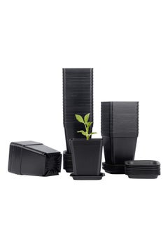 Buy Plastic Square Nursery Pots 36Pcs 3 Inch Plant Seed Starting Pots with Drainage Hole and Saucers for Seedling, Container for Your Room, Garden Office and Balcony Decor, Black in Saudi Arabia