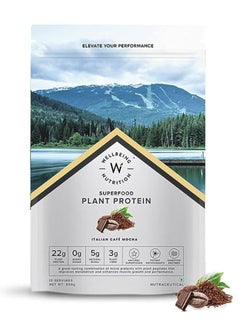 Buy Wellbeing Nutrition Organic Vegan Plant Protein Powder for Men & Women | 22g European Pea Protein Isolate | 5g BCAA, Superfoods, Fiber for Muscle Growth, Italian Cafe Mocha 500gm in UAE