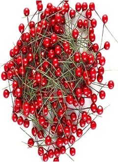 Buy 100 Pcs Red Berry, Cherry Fruit Hanging Ornaments for Christmas Decoration in Egypt