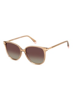 Buy Women's Polarized Square Shape Metal Sunglasses Pld 4170/G/S/X Brown 50 - Lens Size: 49.6 Mm - Gold in Saudi Arabia