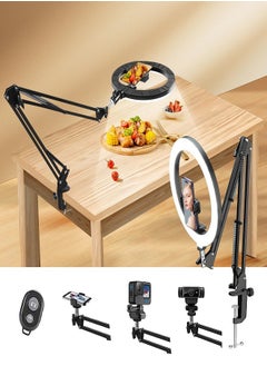 Buy Mobile Phone Holder with Selfie Ring Light Strip,Desktop Stand,10 Inch Round LED Desktop Ring Light Strip Remote Control for Video Recording,Conference,Live Broadcast Tiktok,YouTube in Saudi Arabia