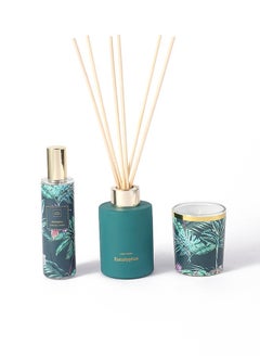 Buy 3 in 1   alcohol-free Scented Candles&Reed Diffuser Set（Green) in Saudi Arabia