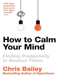 Buy How To Calm Your Mind: Finding Productivity In Anxious Times in UAE