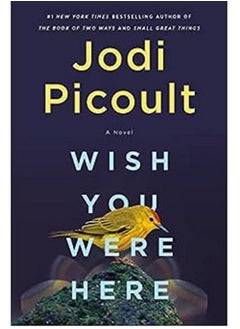 Buy Wish You Were Here: A Novel in Egypt