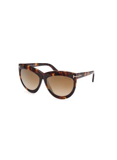 Buy Women's Shield Shape Acetate Sunglasses FT111253G59 Lens Size: 59 Millimeter - Blonde Havana in UAE