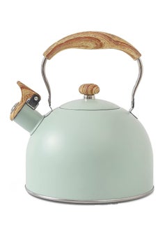 Buy Tea Pot, Whistling Tea Kettle with Heat Resistant Handle, Stove-top Kettle for Coffee and Tea(Green) in Saudi Arabia