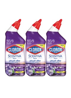 اشتري Toilet Cleaner Lavender Scent Pack Of 3 في الامارات