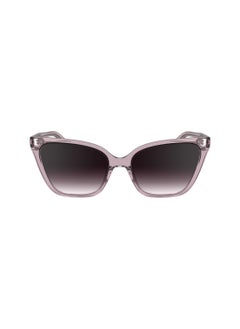 Buy FULL RIM BIO INJ-G820 CAT EYE CALVIN KLEIN SUN CK24507S  5717 (601) ROSE in UAE