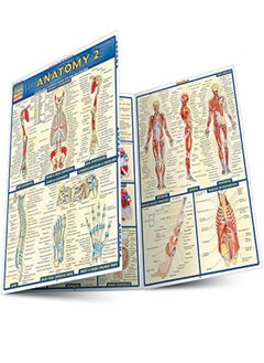 اشتري Anatomy 2 - Reference Guide (8.5 x 11): a QuickStudy Reference Tool في الامارات