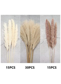 Buy Sky-Touch Natural Dried Pampas Grass Bouquet : Brown White Reed Pampas Floral Arrangements Decorations for Home Room Office Party Decor (60PCS) in UAE