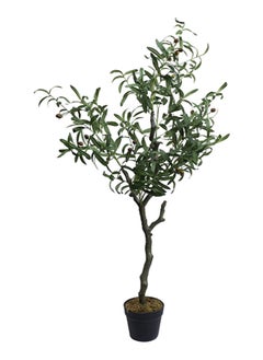 Buy Artificial Potted Olive Tree Green/Black 125 cm in UAE