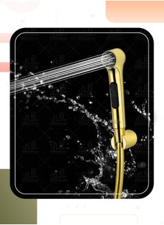 Buy BBAGNO SF02 Bidet Sprayer Luxury Anti-twist Design Made of Multi-Color PVC Plastic and 22 Bar Pressure Hand Shower Bright Gold in UAE