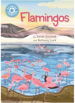 Buy Reading Champion: Flamingos : Independent Reading Non-Fiction Blue 4 in Saudi Arabia