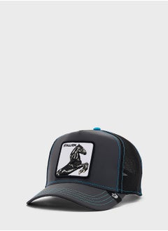 Buy Stallion Nights Curved Peak Cap in UAE