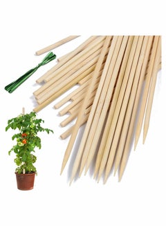 اشتري KASTWAVE Bamboo Plant Stakes,100 Pack 40cm Plant Sticks Support,Floral Plant Support Wooden,Indoor Gardening Plant Supports,Wooden Sign Posting Garden Sticks,with 9 cm Wires (200 pcs) في الامارات