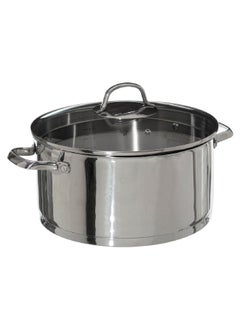 Buy Resilience Stainless Steel Stew Pot with Lid Silver and Clear 24 cm 179709 in Saudi Arabia