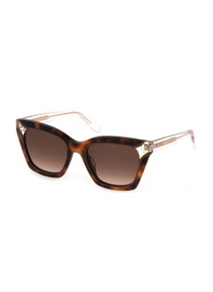 Buy Women's Butterfly Shape  Acetate Sunglasses SJC024V5209AJ - Lens Size: 52 Mm - Havana Brown in Saudi Arabia