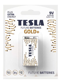 اشتري Gold Alkaline Battery 9V (6LR61, 9V, Blister) Pack of 1 في الامارات