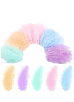 Buy 300 Pcs Colorful Feathers For Craft Diy Assorted Native Crafts Carnival Mardi Gras Party Costume Feather Mask Wind Bell Hat Jewelry Cloths Bag Earring Accessories in UAE