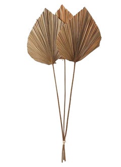 Buy Decorative Anahaw Leaf Dried Arrangement - Set of 3 (Natural) in UAE