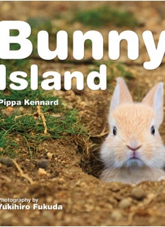 Buy Bunny Island in UAE