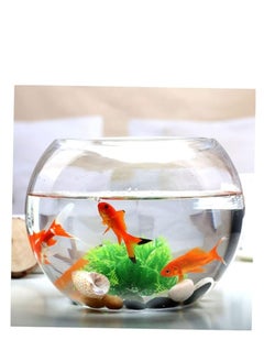 Buy Round glass bowl aquarium fish tank small glass vase large round fish bowl fish tank (Diameter 25 cm) in Egypt