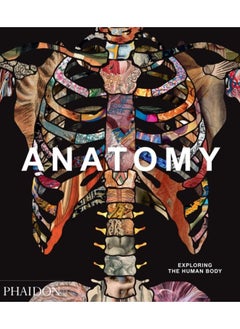 Buy Anatomy : Exploring the Human Body in UAE