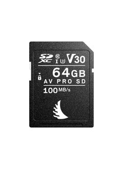 اشتري AV PRO SD MK2 Card 64GB, UHS-I / V30 / U3 / Class 10, Read:100 MB/s Write:52 MB/s 4k - AB-AVP064SDV30 في الامارات