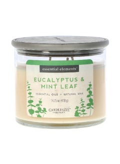 Buy Eucalyptus and Mint Leaf Scented Jar Candle Beige 418 g in Saudi Arabia