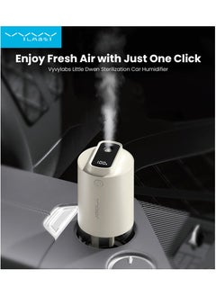 اشتري Vyvylabs Little Dwen Sterilization Car Humidifier White في الامارات