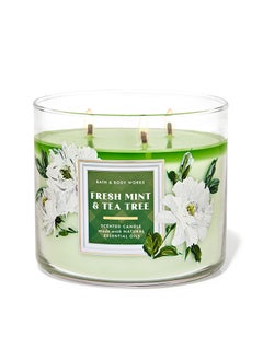 Buy Fresh Mint And Tea Tree 3-Wick Candle in UAE