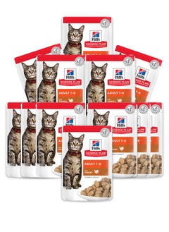 Buy Adult Wet Cat Food Turkey - 12x85g in UAE