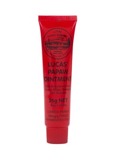 Buy Papaw Ointment Lip Applicator 25grams in UAE