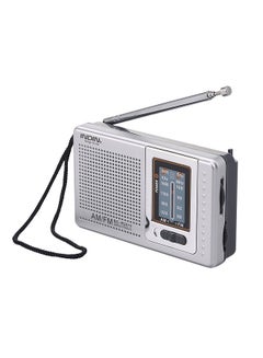 Buy INDIN BC-R2011 Mini AM FM Radio Silver in Saudi Arabia