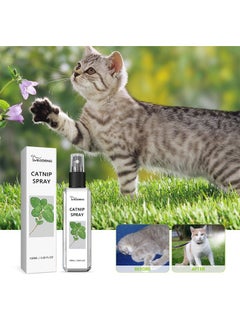 Buy Catnip spray -suitable for cats and kittens to relieve cat anxiety and enhance pet vitality in UAE