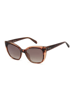 Buy Women's UV Protection Cat Eye Sunglasses - Fos 3131/S Hvn 52 - Lens Size 52 Mm in UAE