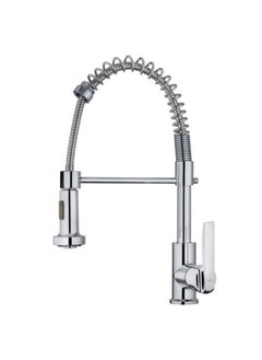 Buy TEKA IN 939 Professional Kitchen Tap Mixer with flexible spring in UAE