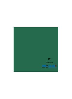 Buy PROMAGE PAPER BACKGROUND DEEP GREEN PM PB12 in UAE