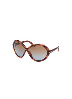 Buy Women's Butterfly Shape  Sunglasses FT107053F68 Lens Size: 68 Millimeter - Blonde Havana in UAE