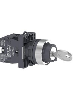 Buy Schneider Electric Complete Selector Switch, Easy Harmony Xa2, Plastic, 22Mm, Key 455, 2 Positions, Stay Put, 2No in Egypt