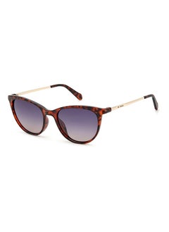 Buy Women's UV Protection Cat Eye Sunglasses - Fos 3127/S Hvn 54 - Lens Size 54 Mm in UAE