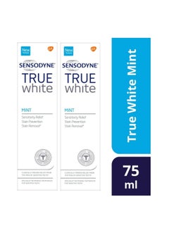 Buy True White Mint Toothpaste 75ml pack of 2 in UAE