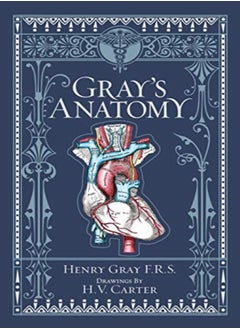 Buy Gray's Anatomy (Barnes & Noble Collectible Editions) in UAE