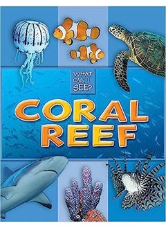 Buy What Can I See?: Coral Reef in Egypt