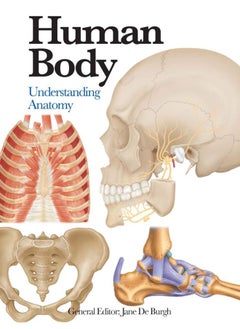 Buy Human Body: Understanding Anatomy in UAE