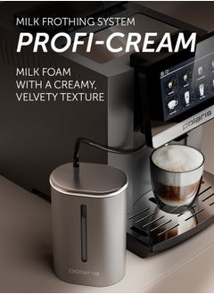 Buy Smart Coffee machine WIFI IQ HOME, Wi-Fi remote control, Italian 20-bar pump, PROFI-CREAM milk frothing system, Personalized customization, 12 grind levels in UAE